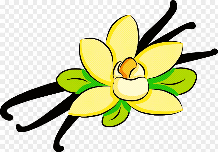 Yellow Petal Green Flower Plant PNG