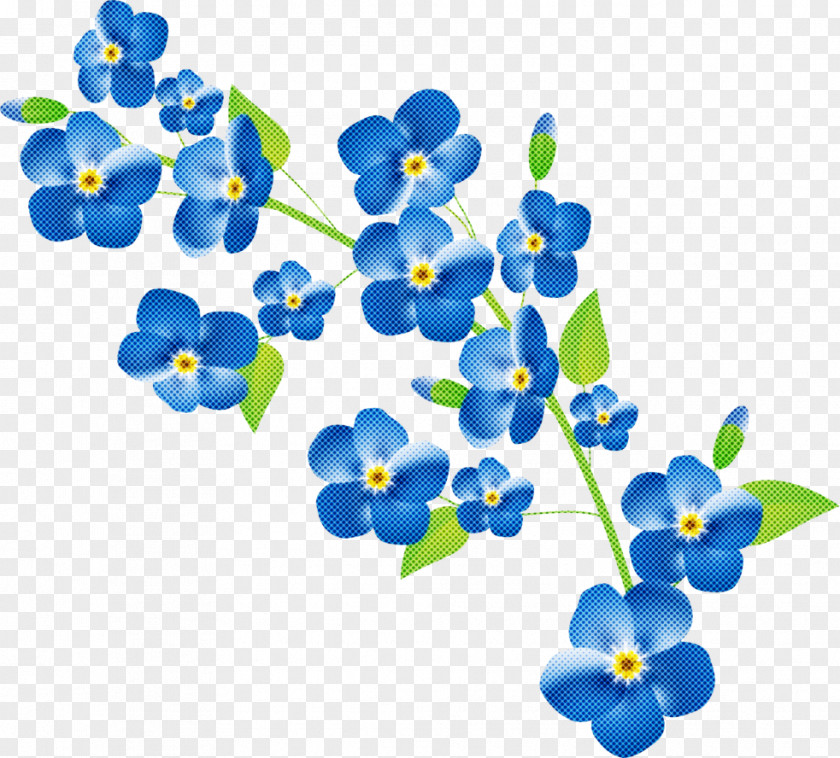 Blue Cobalt Flower Forget-me-not Plant PNG
