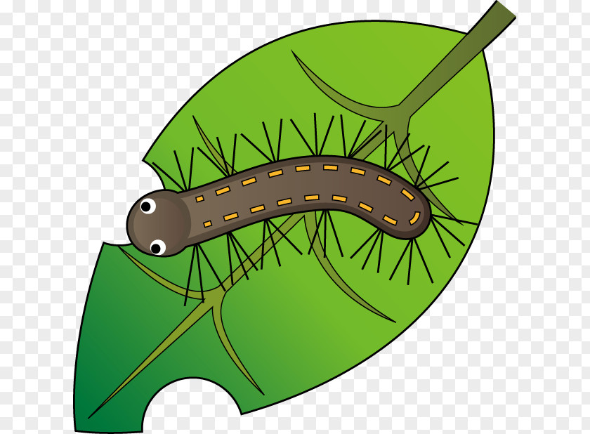 Caterpillar Worm Butterfly Clip Art PNG