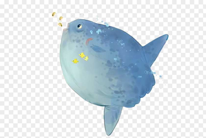 Whale Right Whales Blue PNG