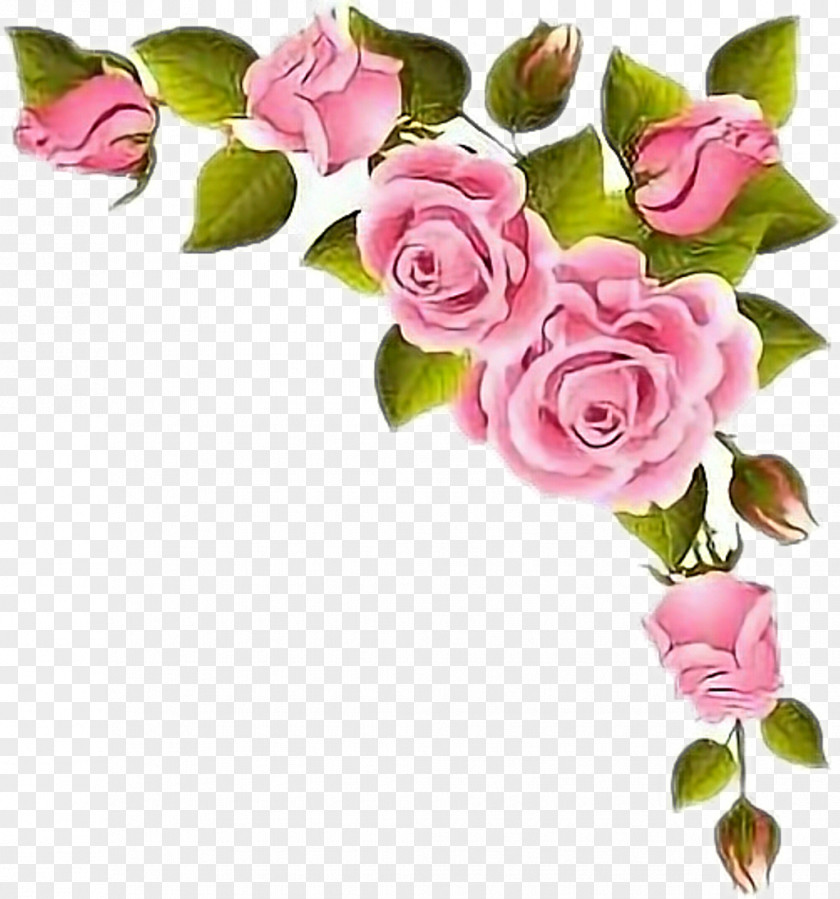 Blackandwhite Watercolor Rose Pink Flower Bouquet Wedding PNG