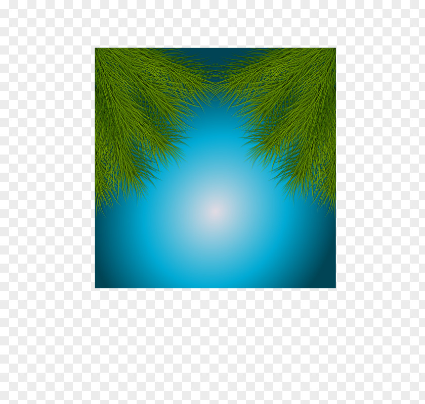 Festivity Turquoise Teal Desktop Wallpaper Computer PNG