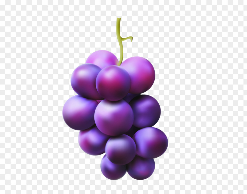 Grape Juice Vector Graphics Image Red Globe PNG