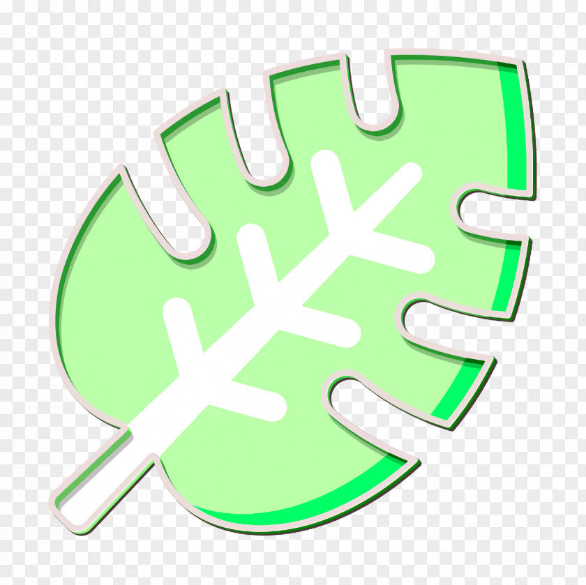 Jungle Icon Leaf PNG