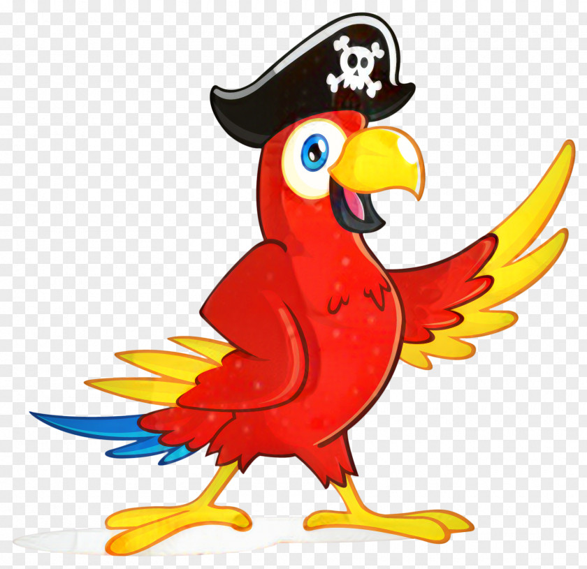 Pirate Parrot Clip Art Pittsburgh Pirates PNG