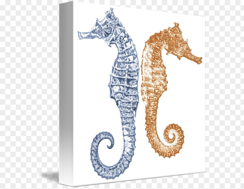 Seahorse Drawing Art Painting Syngnathiformes PNG