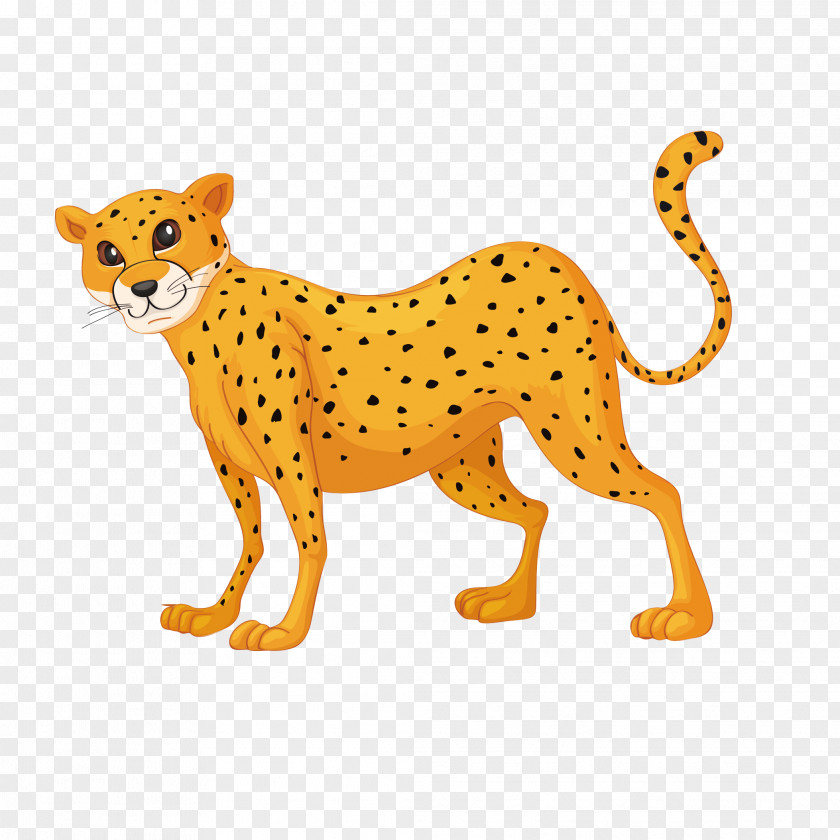 Animal Picture Leopard Stock Photography Vector Graphics Illustration PNG