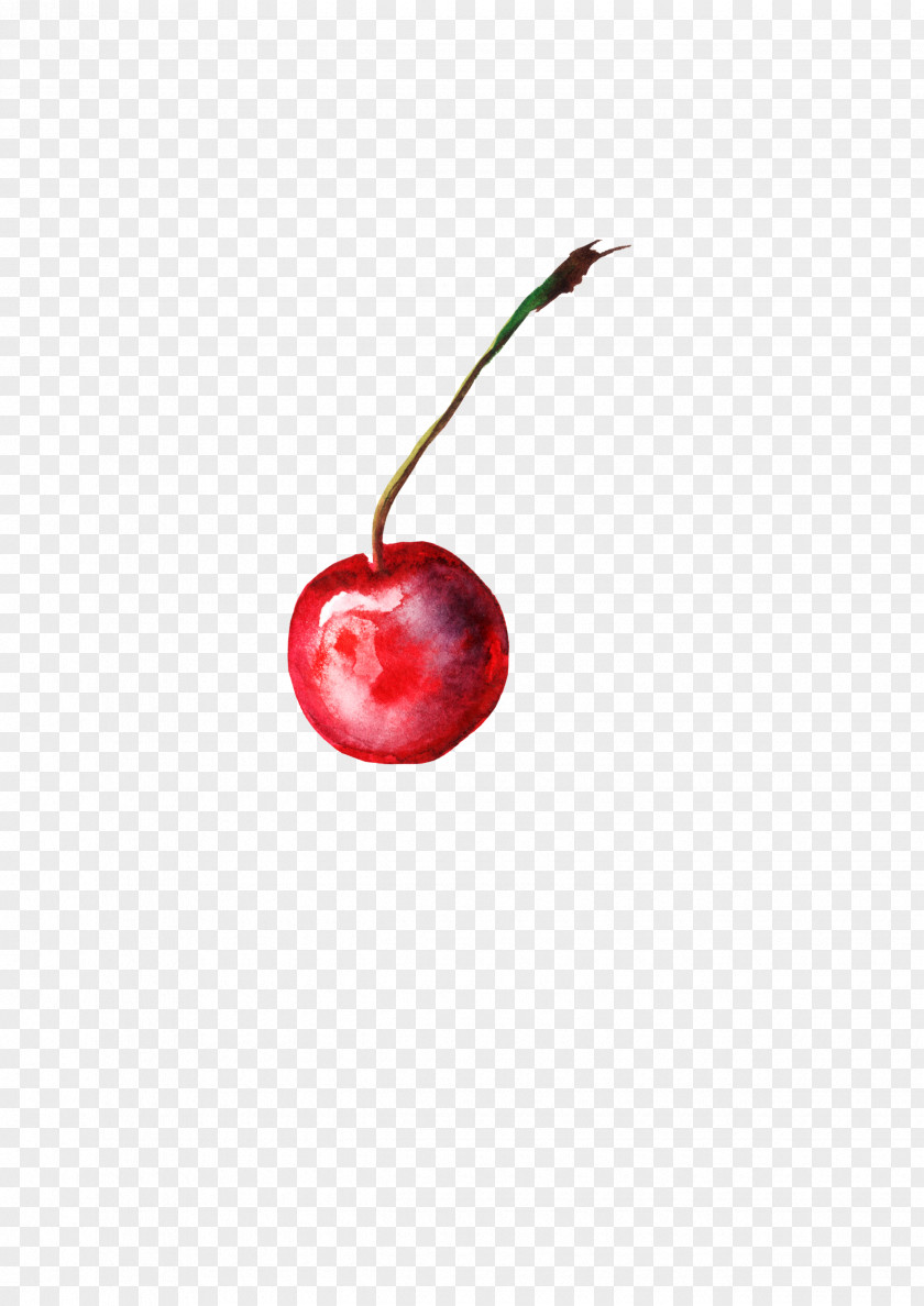 Cherry Garnish Balloon Fly 1000 COLOR PNG