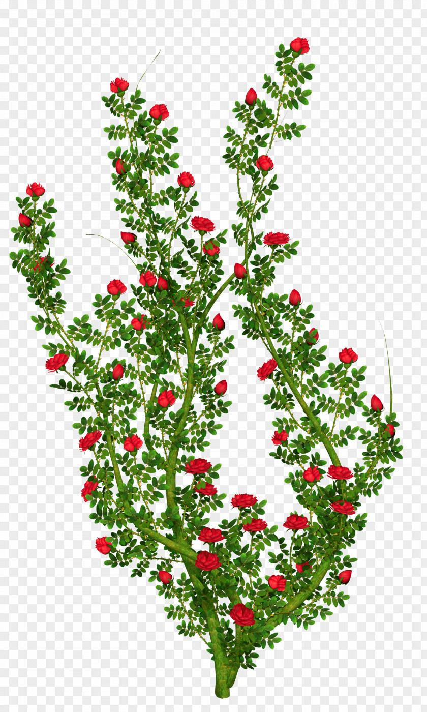 Flower Bush Cliparts Rose Shrub Clip Art PNG