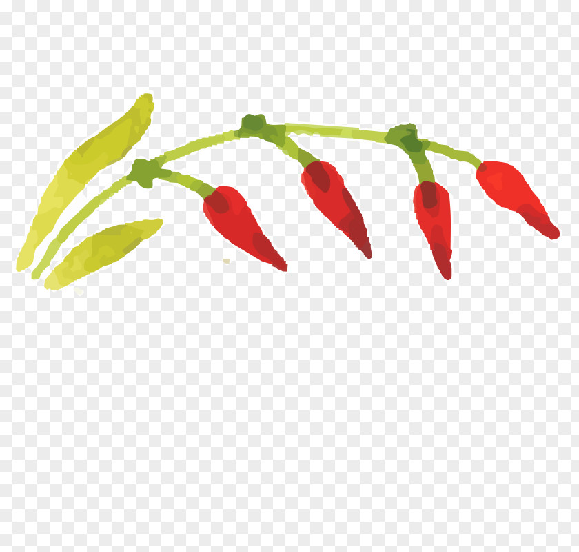 Hand-painted Flowers,Beautiful,watercolor,Oil Painting Effect,Flowers,Leaves Birds Eye Chili Serrano Pepper Watercolor Oil PNG