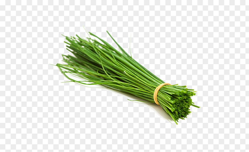 Leek Scallion Chives Vegetable Welsh Onion Plant Food PNG