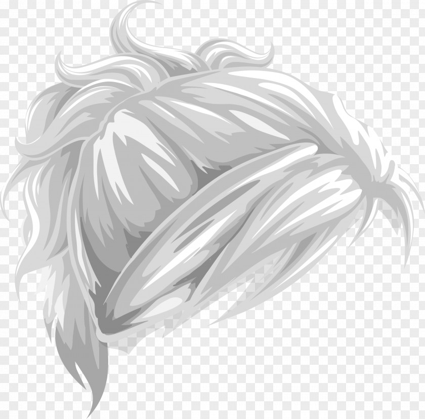 Long Hair Drawing Ponytail Clip Art PNG