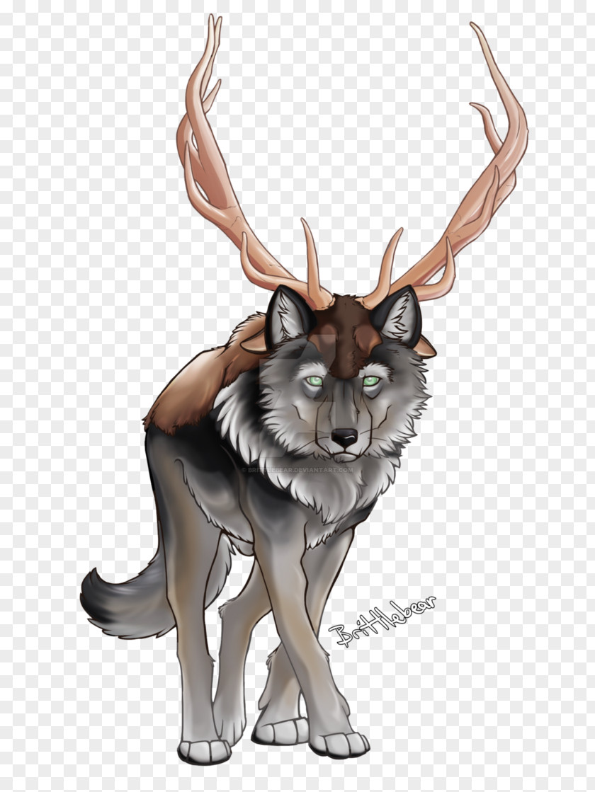 Reindeer Antler Dog Mammal Illustration PNG