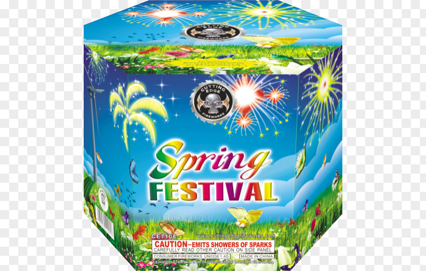 Spring Festival Pictures Material Plant PNG