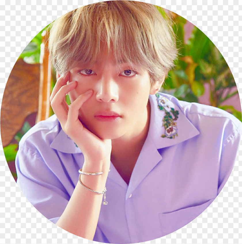 Wings Kim Taehyung BTS Love Yourself: Her K-pop PNG