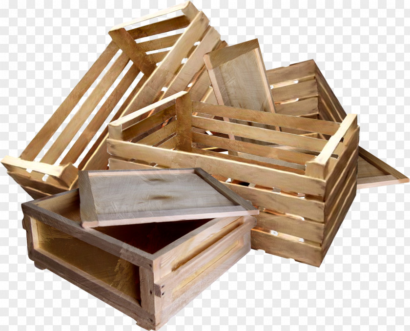 Box Wood PNG