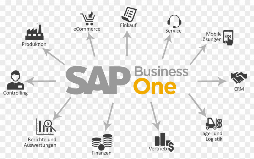 Business SAP One Enterprise Resource Planning SE Management PNG