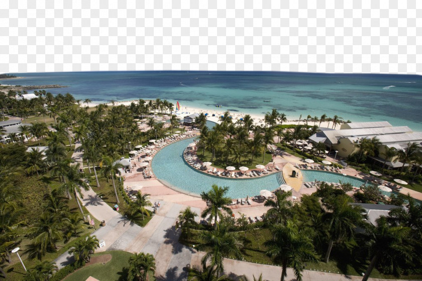Five Star Hotel Beach Swimming Pool Grand Bahama Pirates Of The Caribbean Resort PNG