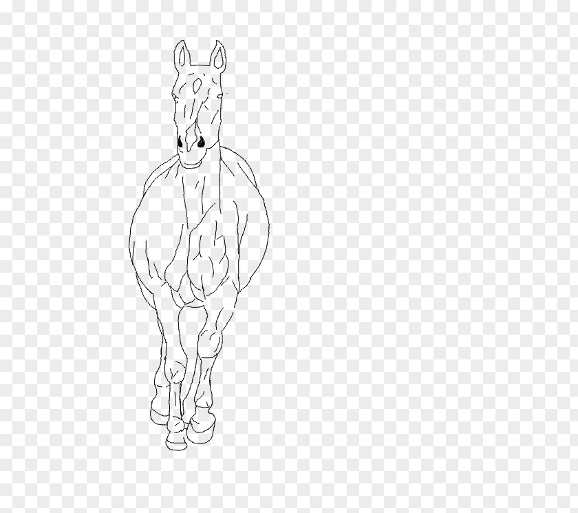 Horse Whiskers Drawing Sketch PNG