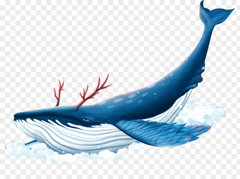 Whales Image Illustration Cartoon PNG