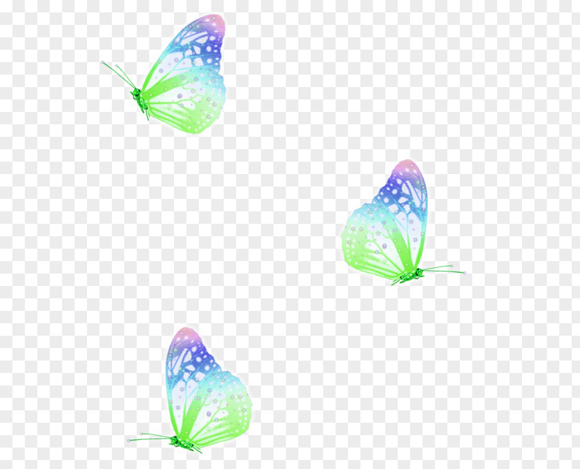 Butterfly Love Desktop Wallpaper Friendship PNG