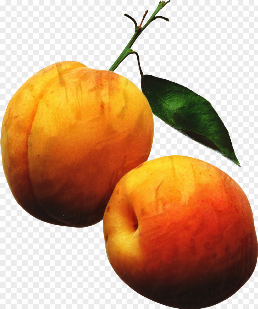 Citrus Vegetarian Food Fruit Cartoon PNG