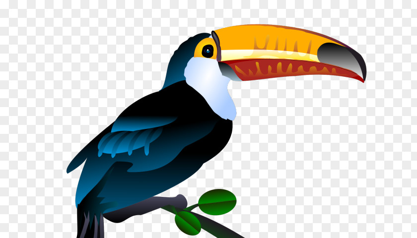 Clydesdale Clip Art Toucan Bird Openclipart Free Content PNG
