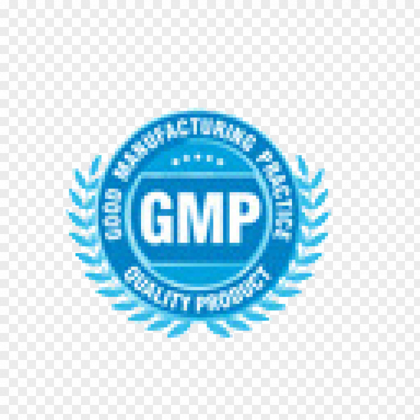 Gmp Good Manufacturing Practice Certification Pharmaceutical Industry ISO 15378 PNG