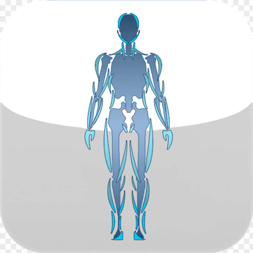Human Body Arm Graphic Design Hip Joint PNG