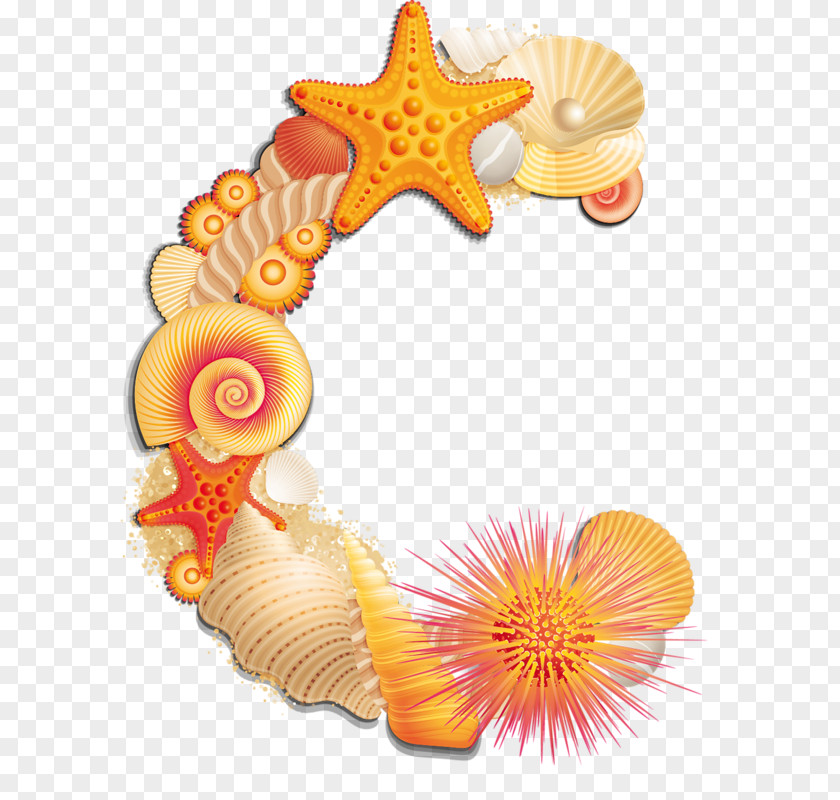 Seashell Letter Alphabet Beach PNG