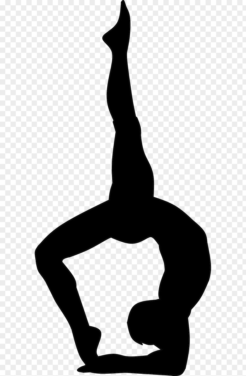 Yoga Day Cartoon Poses Asana Lotus Position Exercise Meditation PNG