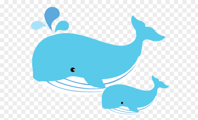 Baby Animals Whale Infant Mother Clip Art PNG