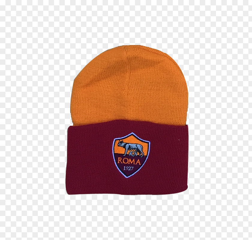 Beanie PNG