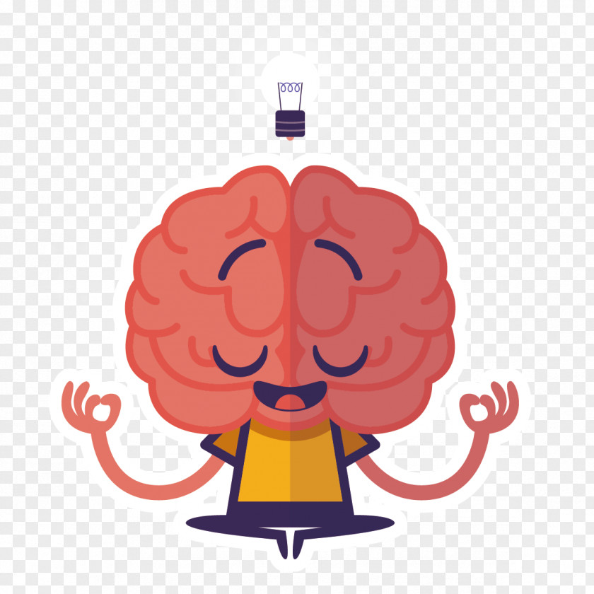 Creative Human Brain Thought Midbrain PNG