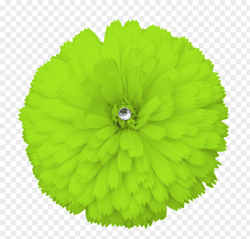 Green Flowers Flower Yellow Clip Art PNG