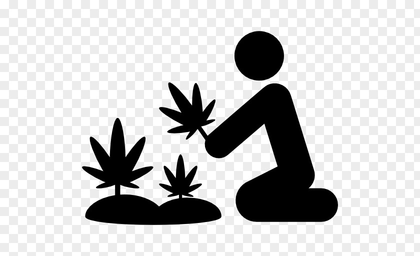 Marihuana Cannabis Cultivation Hemp Medical PNG