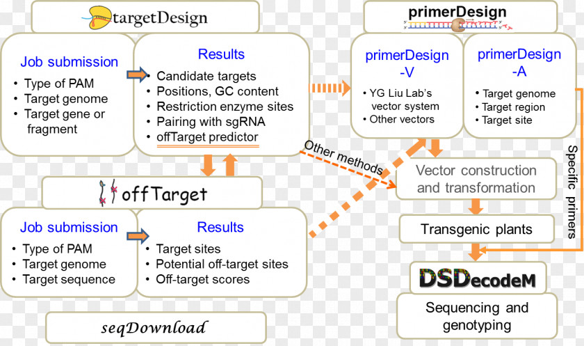 Primerdesign Research Nature Communications Cell Biology PNG