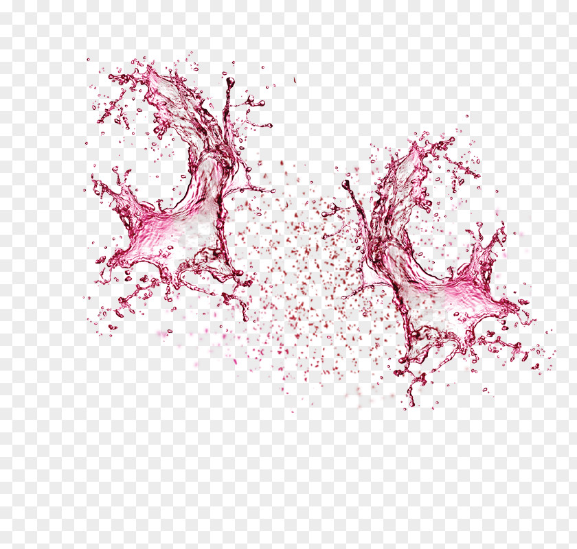 Red Wine Splashing Out Sparkling Rosxe9 PNG