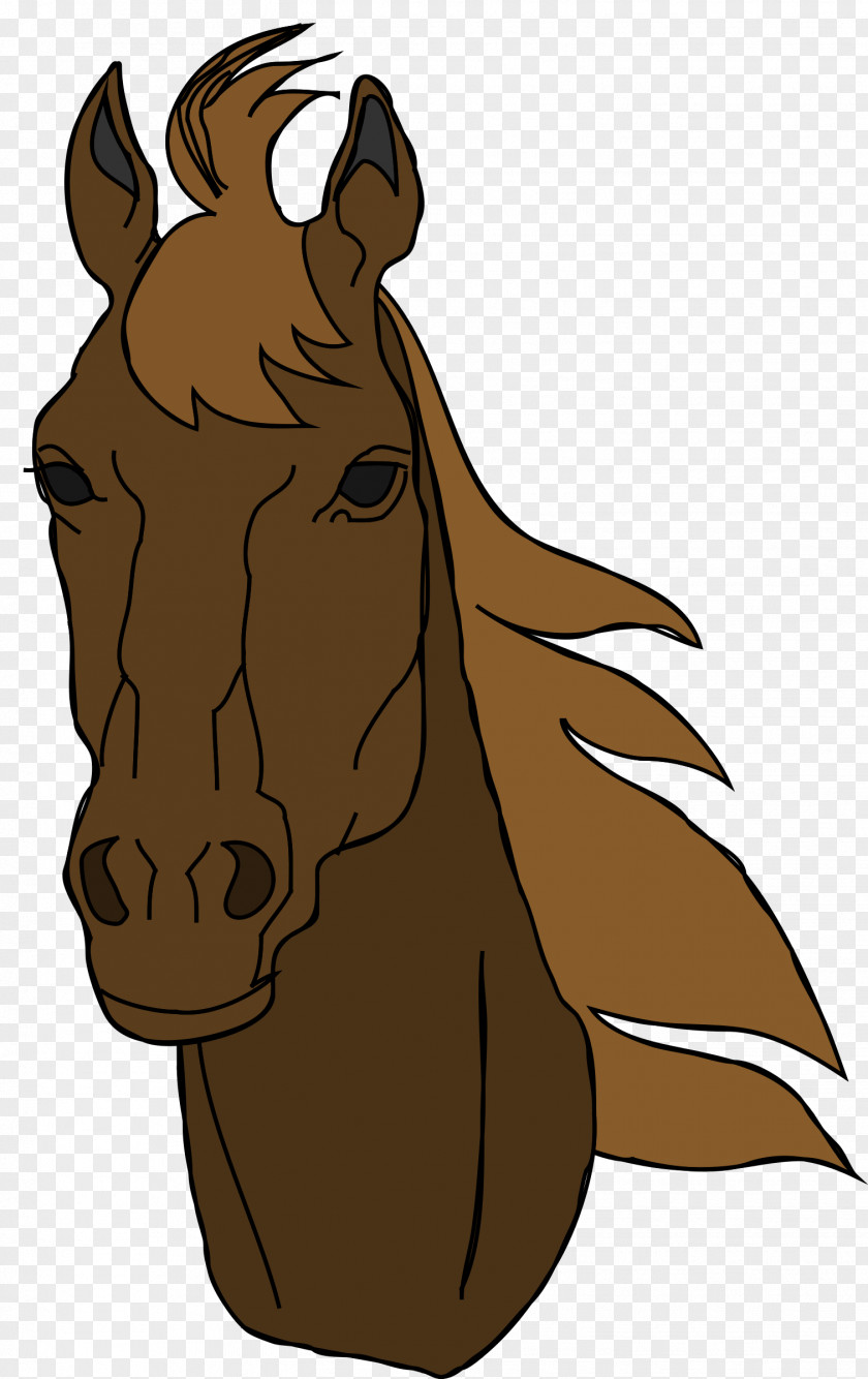 Seahorse Arabian Horse American Quarter Clydesdale Clip Art PNG
