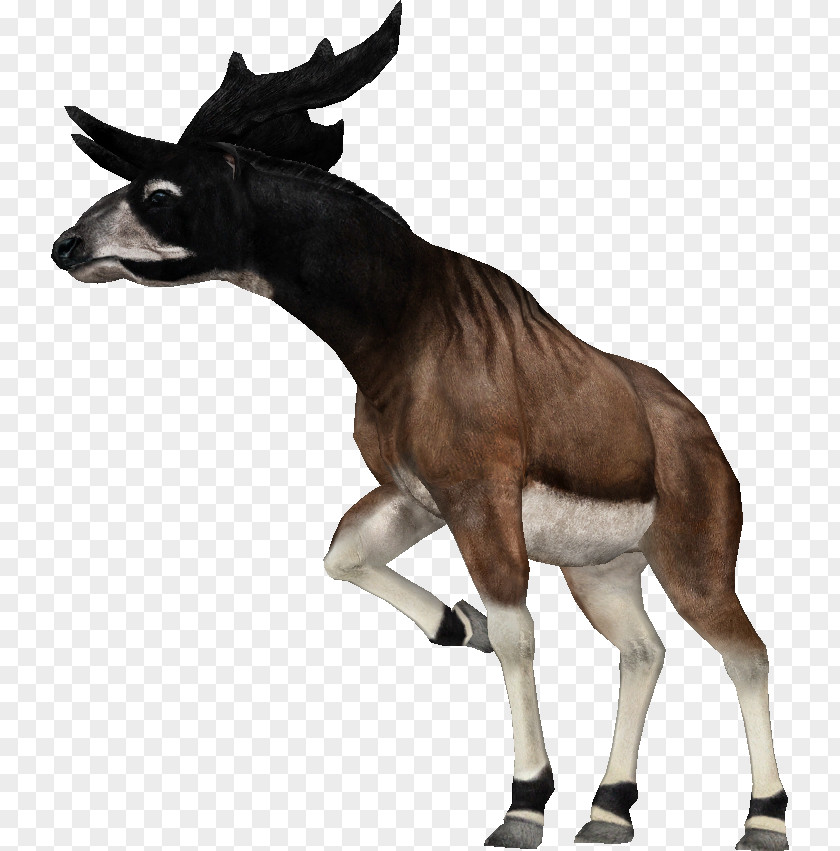 Zoo Tycoon 2: Extinct Animals Mule Sivatherium Common Warthog Video Game Remake PNG