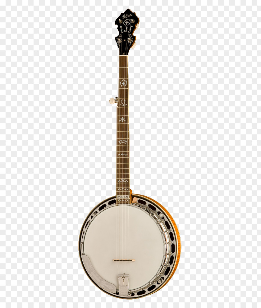 Bluegrass Instruments Banjo Guitar Uke Musical String PNG