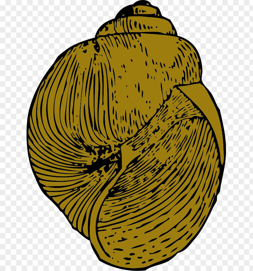 Cartoon Snails Gary Snail Gastropod Shell Clip Art PNG