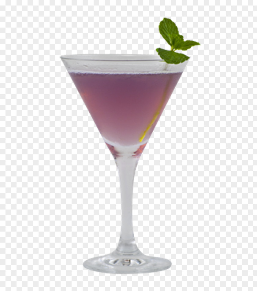 Cocktail Garnish Martini Bacardi Wine Daiquiri PNG