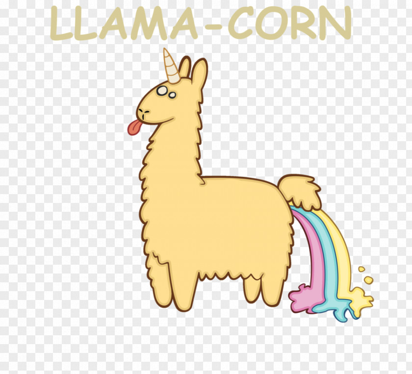 Funny Llama Signs Alpaca Image Illustration Drawing PNG