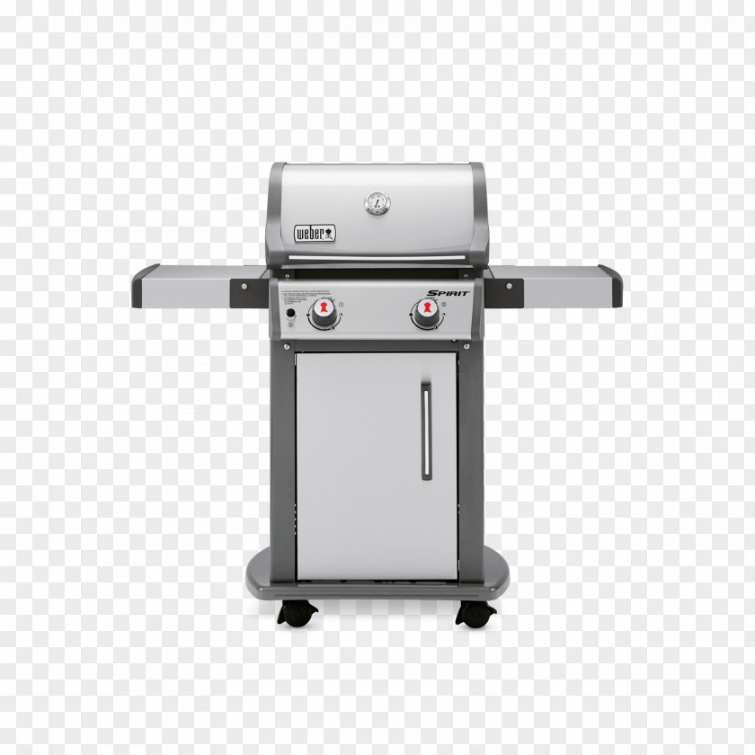 Grill Barbecue Weber-Stephen Products Natural Gas Propane Grilling PNG