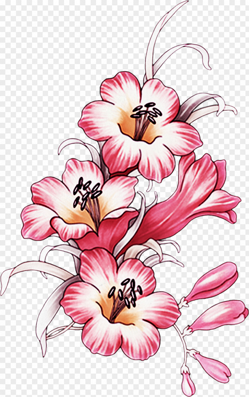 Handpainted Flowers Flower Floral Design Picture Frames Petal Plant PNG