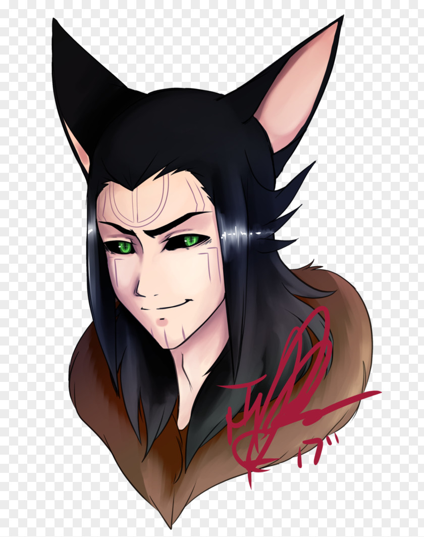 Loki Face Hair Forehead Cat PNG