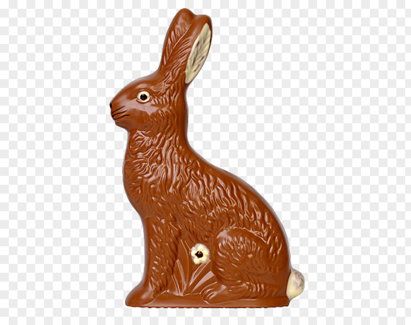 Oneshot Domestic Rabbit Hare Figurine PNG