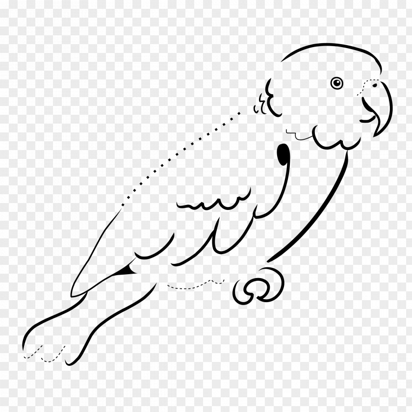 Pirate Parrot Art Black And White Drawing PNG