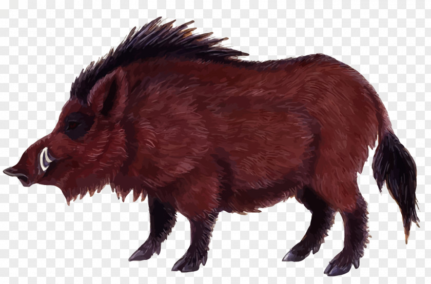 Vector Wild Boar Game Euclidean PNG